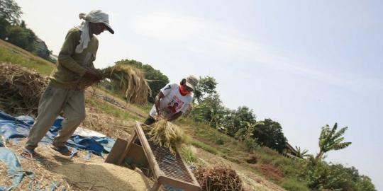 Menteri minta masyarakat kurangi makan nasi