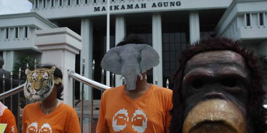 'Orangutan' di depan Mahkamah Agung