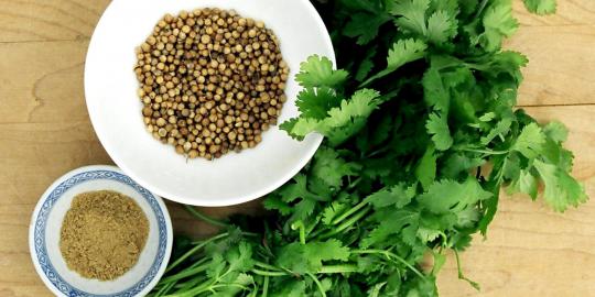 Ketumbar, Si Kecil yang punya banyak manfaat 