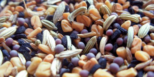 6 Sumber nutrisi untuk membentuk tulang kuat