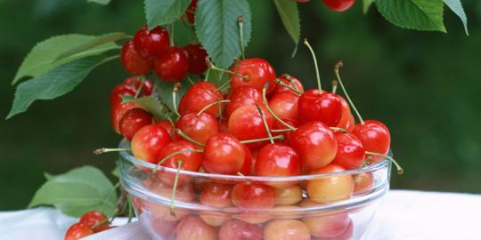 Nutrisi yang tersembunyi dalam buah cherry