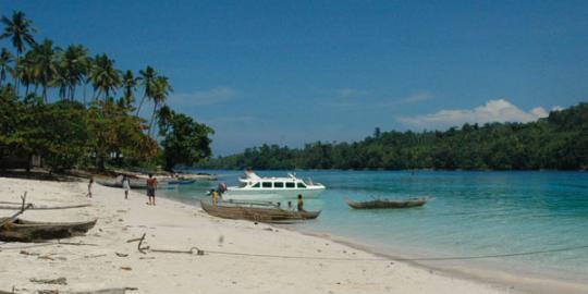  PLN bangun PLTS terbesar di Morotai