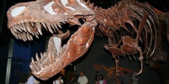 Apa yang menyebabkan dinosaurus berukuran besar?