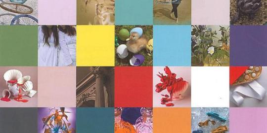 Aplikasi pengidentifikasi warna di seluruh dunia