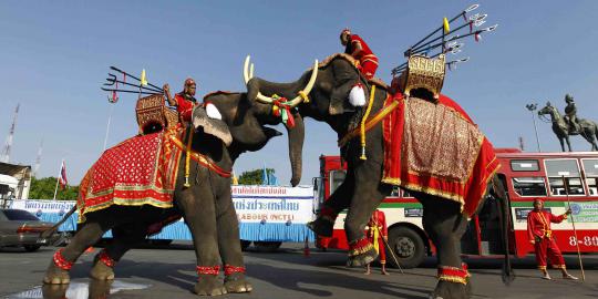 Gajah ramaikan demo May Day 