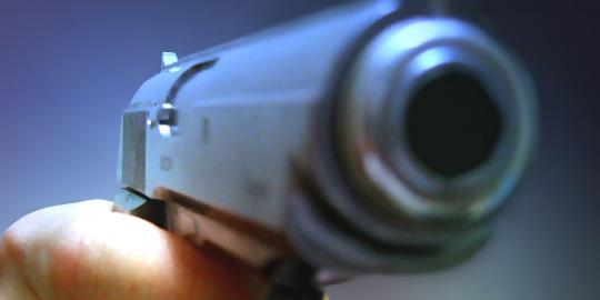 Pistol Walter milik Iswahyudi legal
