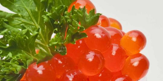 Cara kerja French Diet dalam menguruskan badan