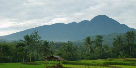 Menyingkap misteri kabut tebal di Gunung Salak
