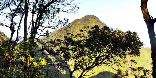 Dari mana asal-muasal penamaan Gunung Salak?