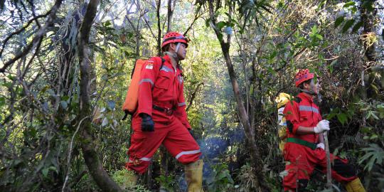 Tim SAR cari black box di semak-semak Gunung Salak