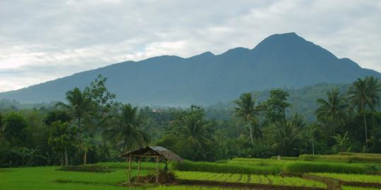 Juru kunci gunung, sang komunikator makhluk mistis