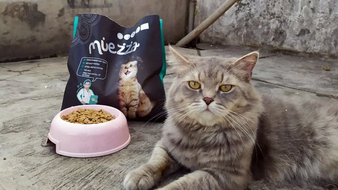 muezza makanan kucing halal