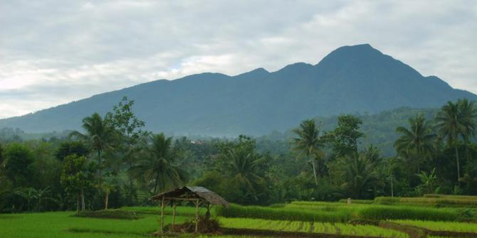 Download 860 Koleksi Gambar Gunung Berkabut Keren HD