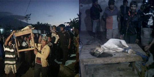 Kambing yang dimangsa anjing belum pasti diganti pemerintah