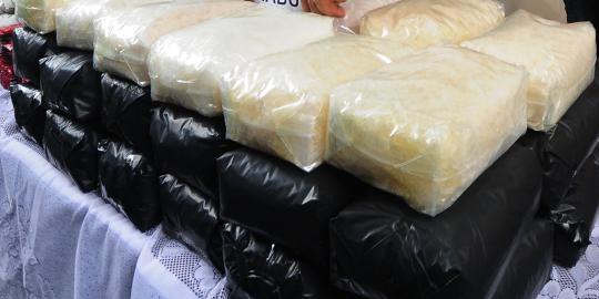 Wanita Inggris selundupkan 4,7 kg kokain ke Bali