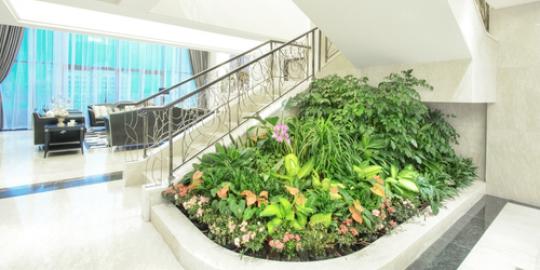 4 Tips berkebun di dalam rumah merdeka com