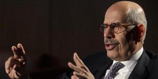 ElBaradei usul pemilu presiden Mesir dibatalkan