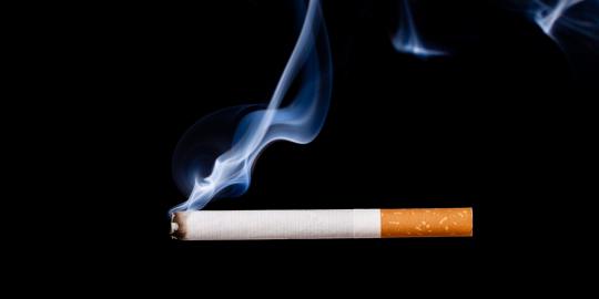 Sidang gugatan ITC Cempaka Mas hadirkan saksi ahli rokok