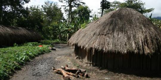 Mako Tabuni penembak tukang ojek di Papua