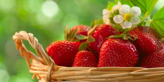 6 Fakta unik tentang strawberry