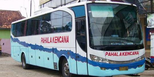 Sopir mengaku terlena, bus nyasar masuk hutan jati 