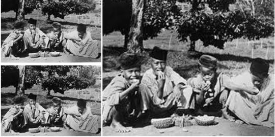 Tiga pohon duren di Duren Tiga