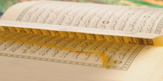 KPK harus usut tuntas korupsi Alquran di Kemenag
