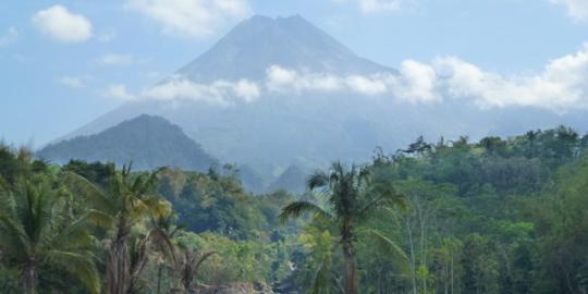 Debit mata air di Gunung Merapi turun drastis