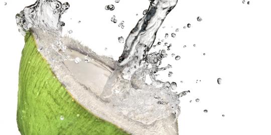 Air kelapa juga bisa dijadikan bahan es krim!