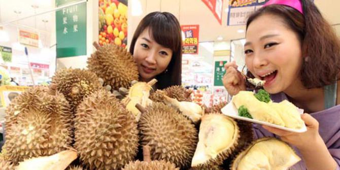Hasil gambar untuk orang korea makan durian