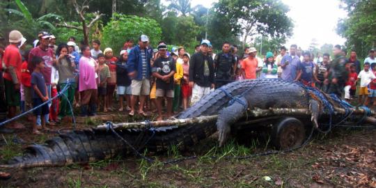 Lolong, buaya raksasa yang pecahkan rekor dunia