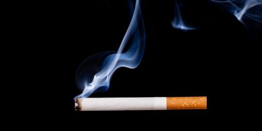Rokok ilegal senilai Rp 3,3 miliar dimusnahkan