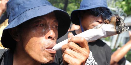 Benarkah RPP Tembakau pesanan asing?
