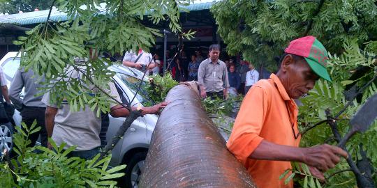 Pohon tumbang di Bandara Polonia, Grand Livina ringsek