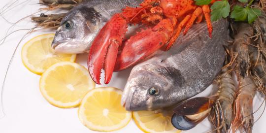 Makan seafood untuk turunkan risiko serangan jantung