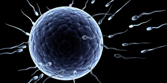 Gara-gara sperma, wanita California tuntut FDA