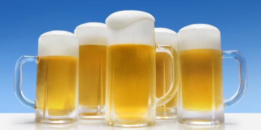 Osteoporosis bisa dicegah dengan minum bir?