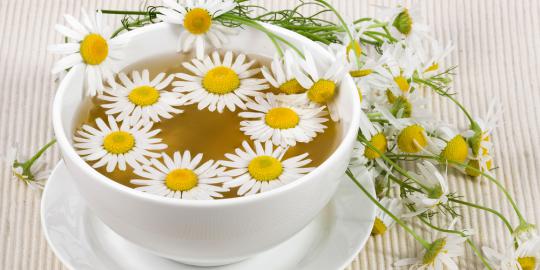 9 Varian teh dan manfaatnya bagi tubuh
