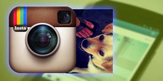 Model pertama foto Instagram bukan manusia