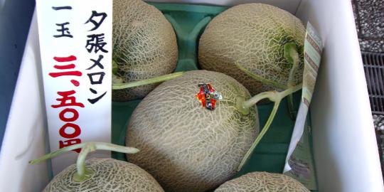 Waw, 2 melon Jepang dijual seharga Rp 119 juta!