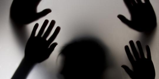 Australia selidiki pelecehan seksual Susilo dan Bambang