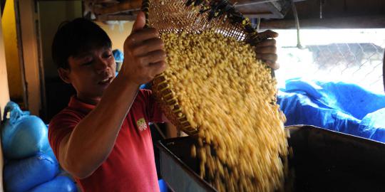 Cerita tempe yang dipatenkan oleh Jepang