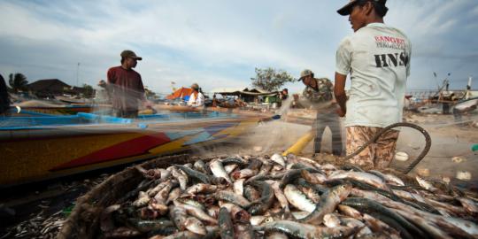 Ikan Indonesia ditukar beras Thailand