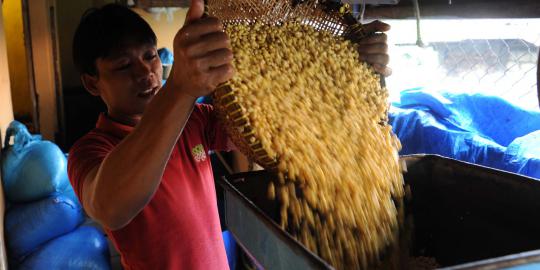 Kedelai impor untuk pakan ternak