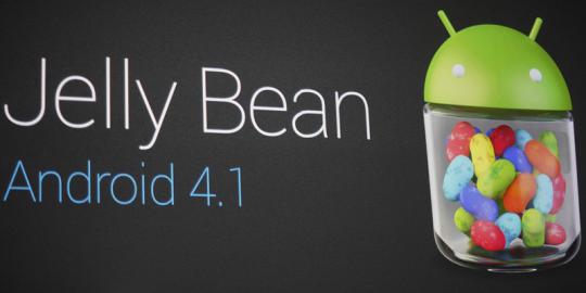 Android Jelly Bean punya fitur multiple user?