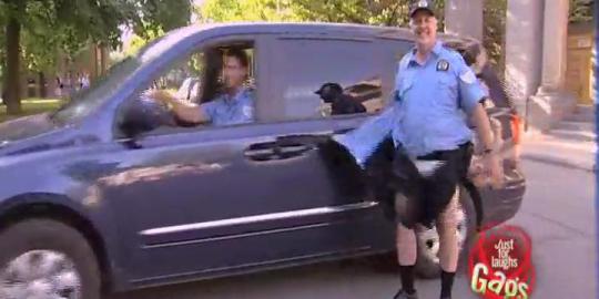 Video lucu pengemudi mobil robek baju polisi palsu