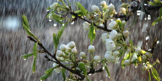 Masuk musim penghujan, waspada longsor dan banjir di Medan