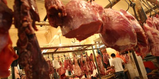 Tim gabungan sidak daging gelonggongan di Bandung