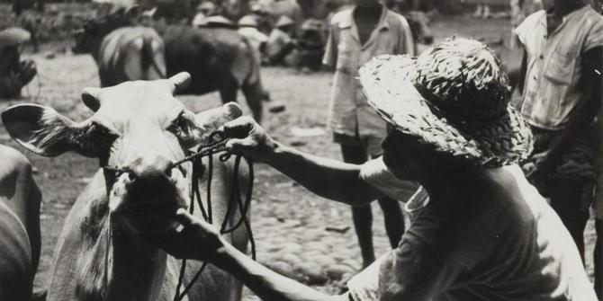 Ragunan dan mitos Pangeran Wiraguna  merdeka.com