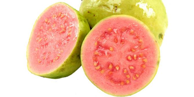 Description: jambu biji untuk menurunkan kolesterol